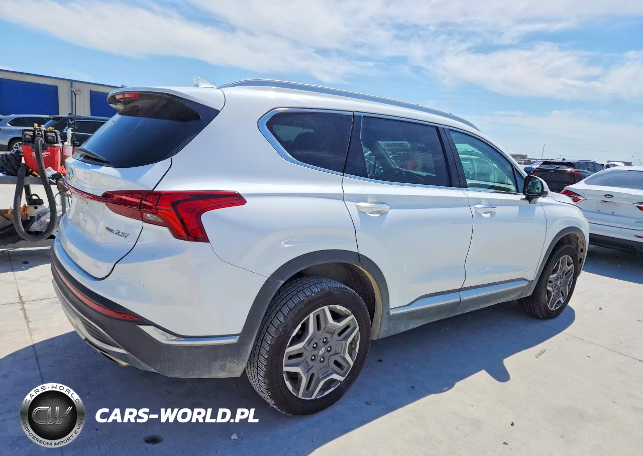 2023 Hyundai Santa Fe Limited VIN:5NMS4DAL3PH488545 - 3