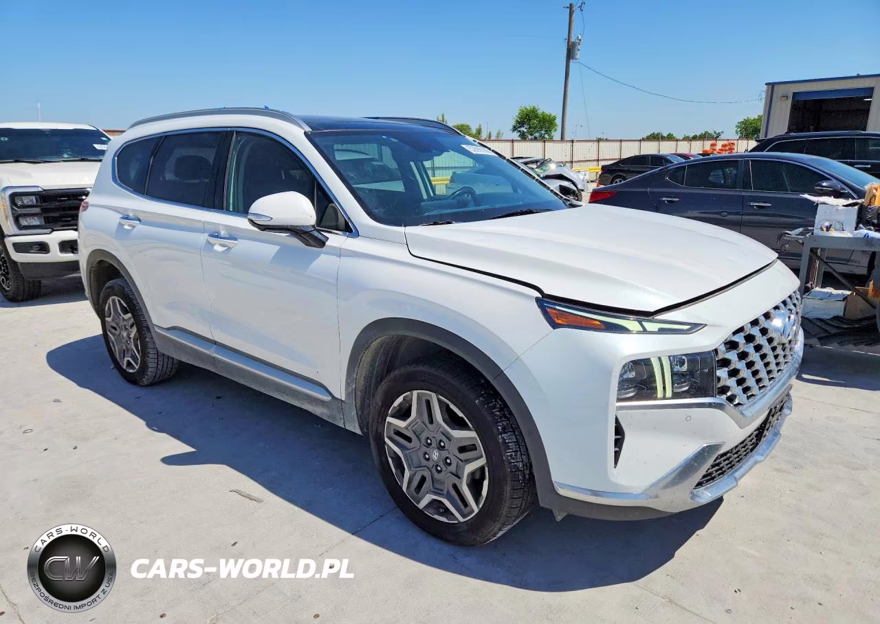 2023 Hyundai Santa Fe Limited VIN:5NMS4DAL3PH488545 - 4