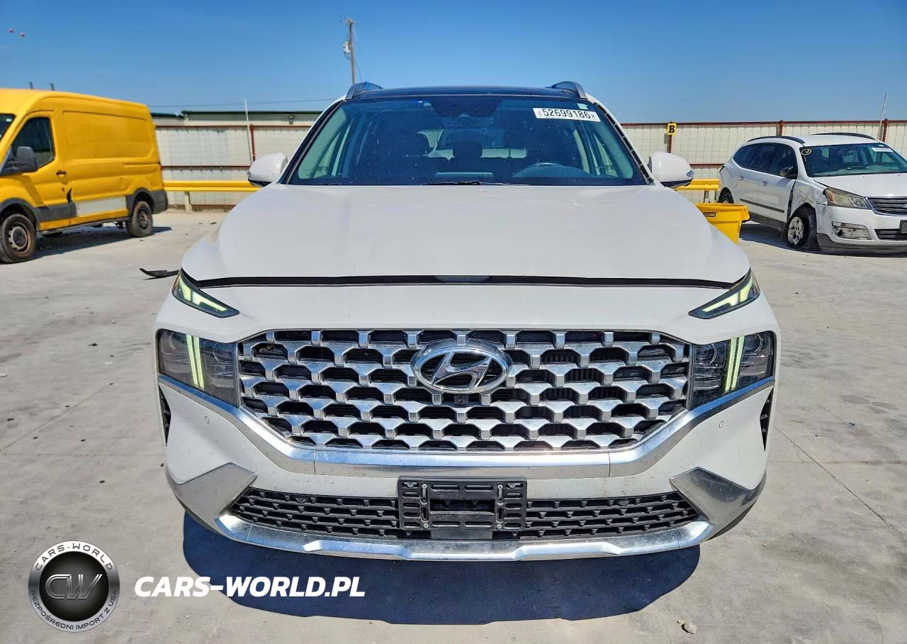 2023 Hyundai Santa Fe Limited VIN:5NMS4DAL3PH488545 - 5