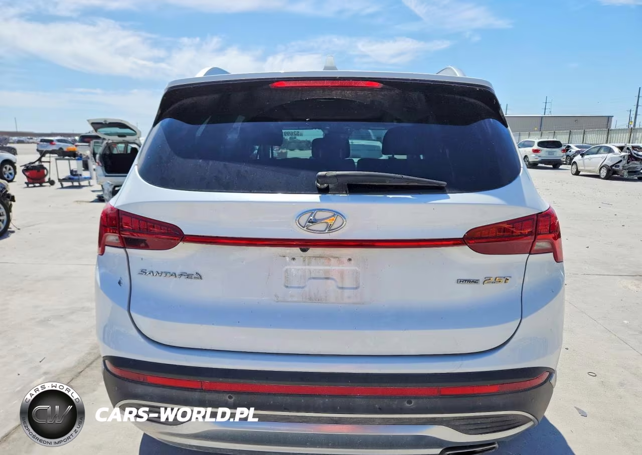 2023 Hyundai Santa Fe Limited VIN:5NMS4DAL3PH488545 - 6