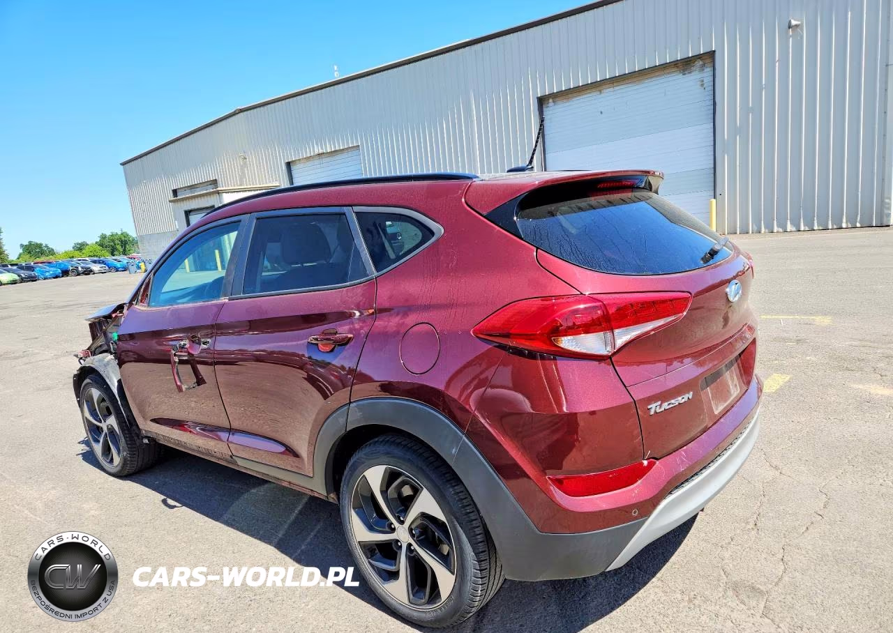 2017 Hyundai Tucson Value VIN:KM8J3CA28HU548521 - 2