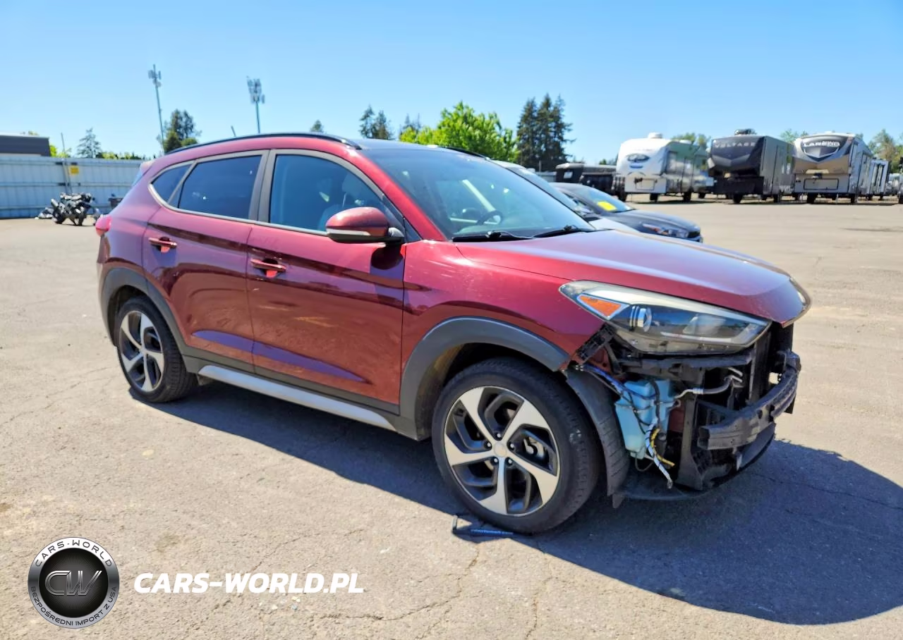 2017 Hyundai Tucson Value VIN:KM8J3CA28HU548521 - 4
