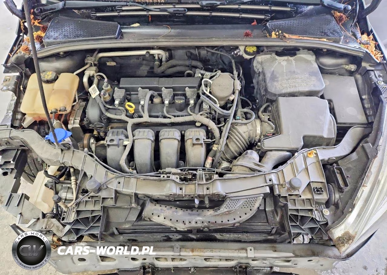 2015 Ford Focus Se VIN:1FADP3F26FL216049 - 11