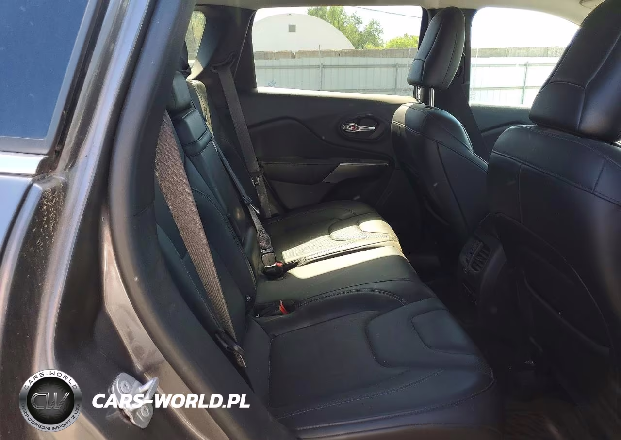 2019 Jeep Cherokee Limited VIN:1C4PJMDN1KD117736 - 11
