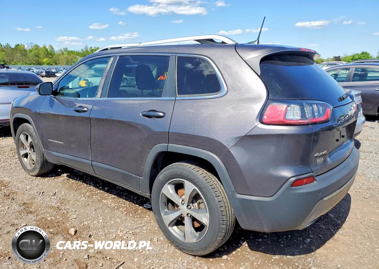 2019 Jeep Cherokee Limited VIN:1C4PJMDN1KD117736 - 2