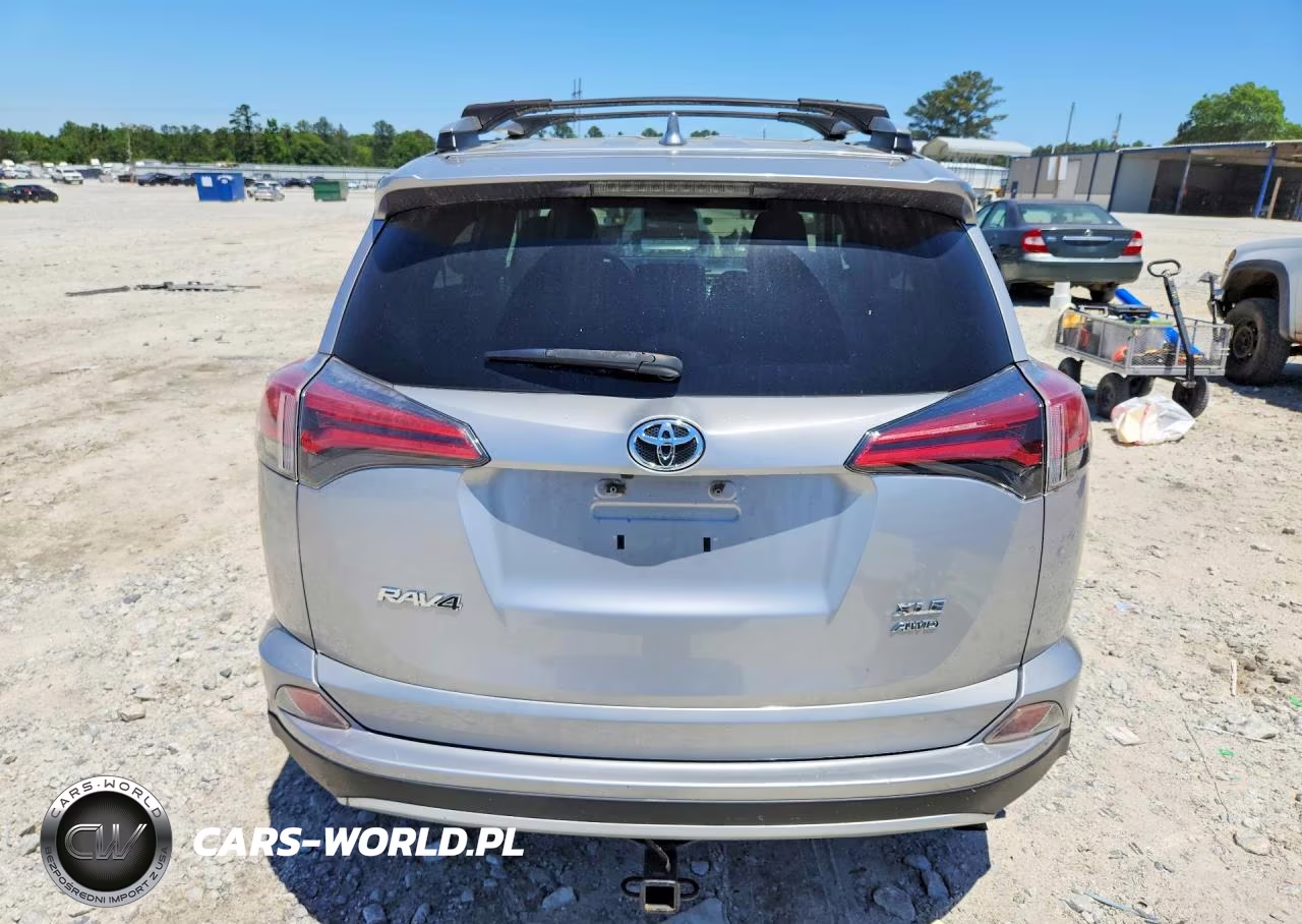 2016 Toyota Rav4 Xle VIN:2T3RFREV3GW463903 - 6