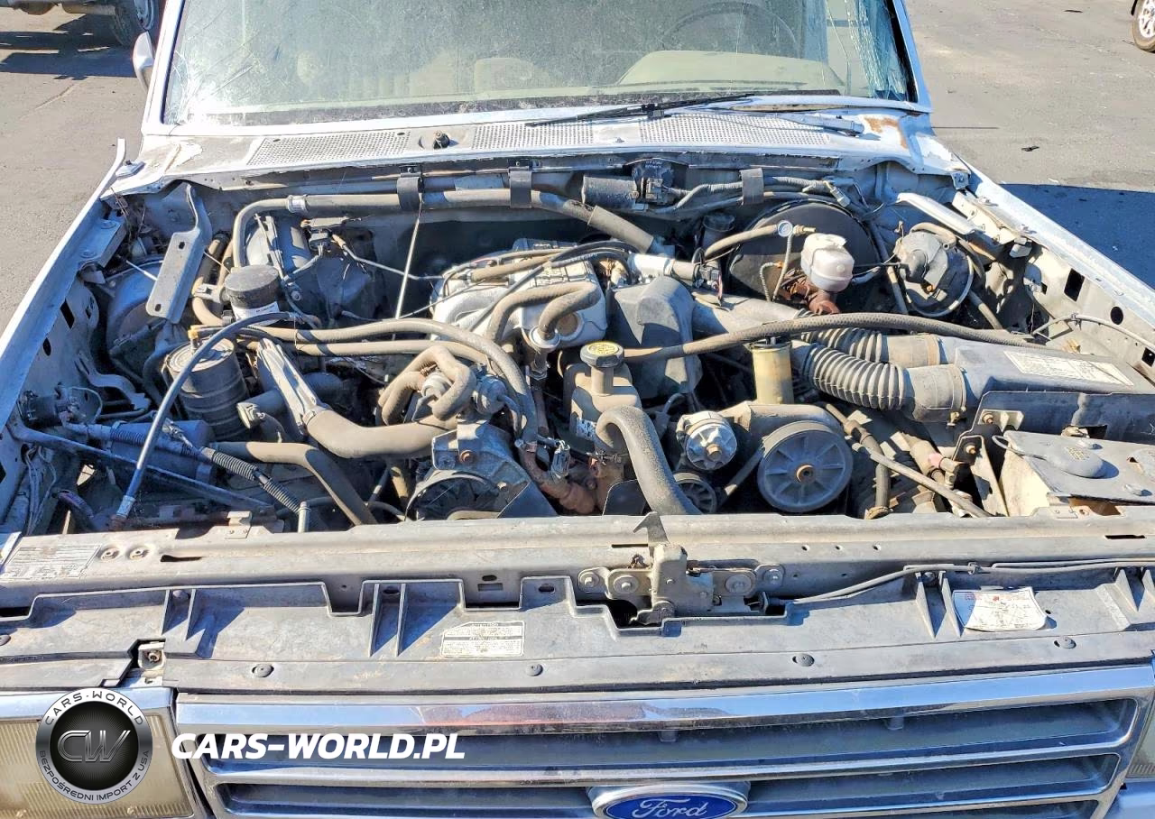 1989 Ford F150 VIN:1FTDF15Y8KPB23561 - 11