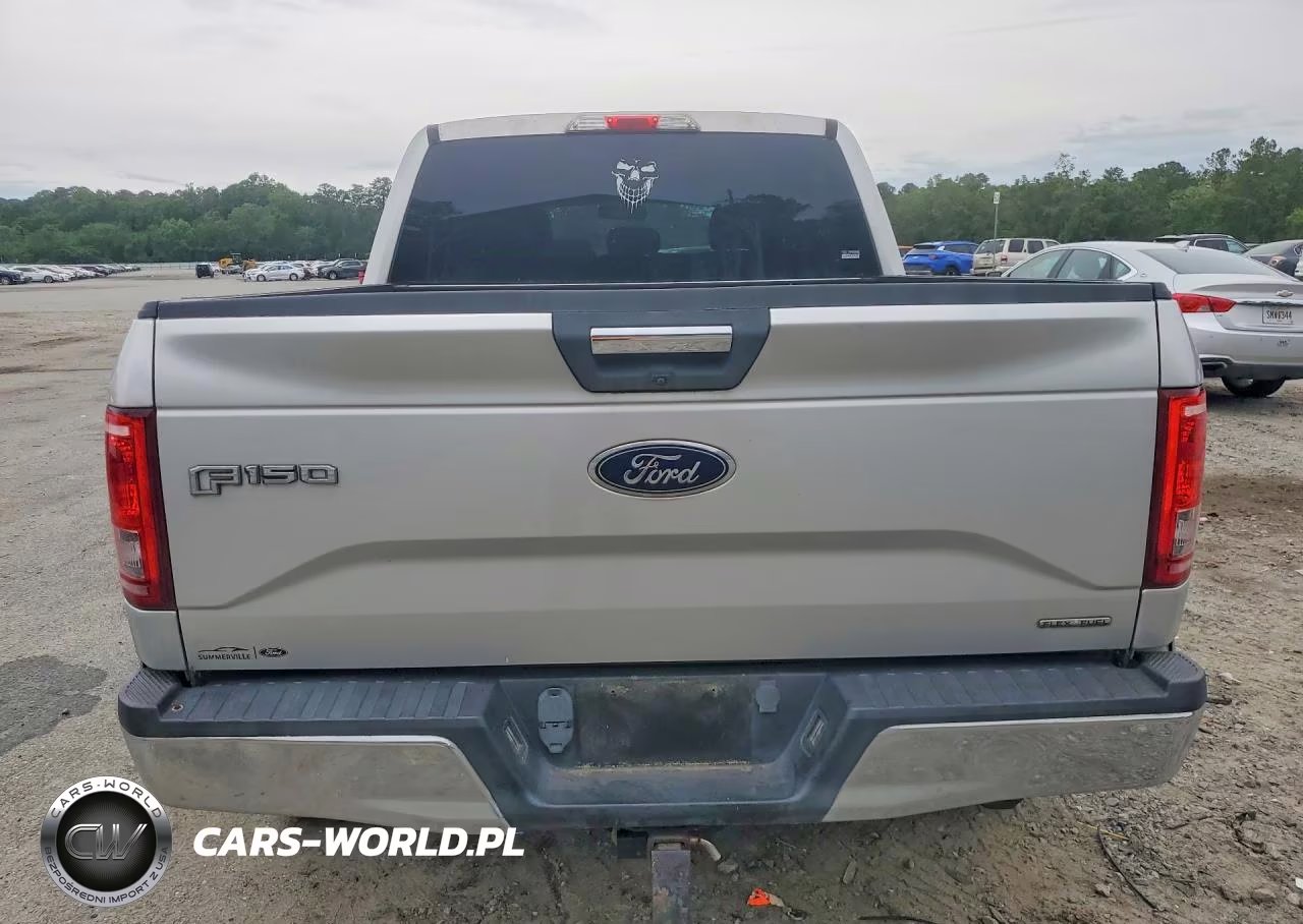 2015 Ford F150 Supercrew VIN:1FTEW1EF1FFC84252 - 6