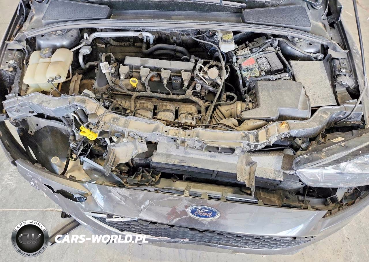 2017 Ford Focus VIN:1FADP3H26HL342489 - 11