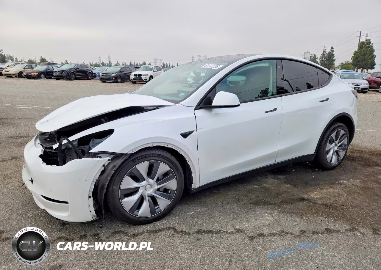 2020 Tesla Model Y