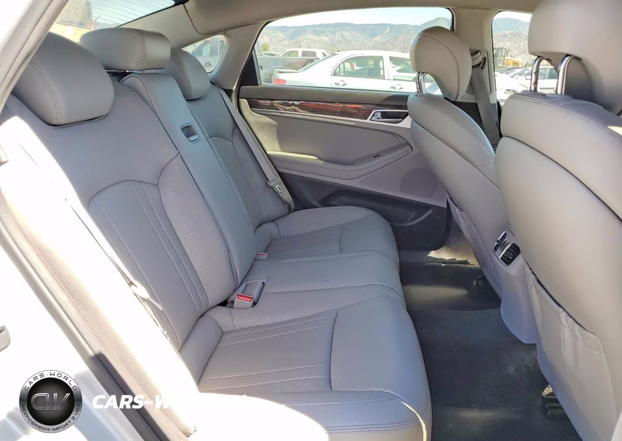 2015 Hyundai Genesis 3.8L VIN:KMHGN4JE7FU034175 - 10