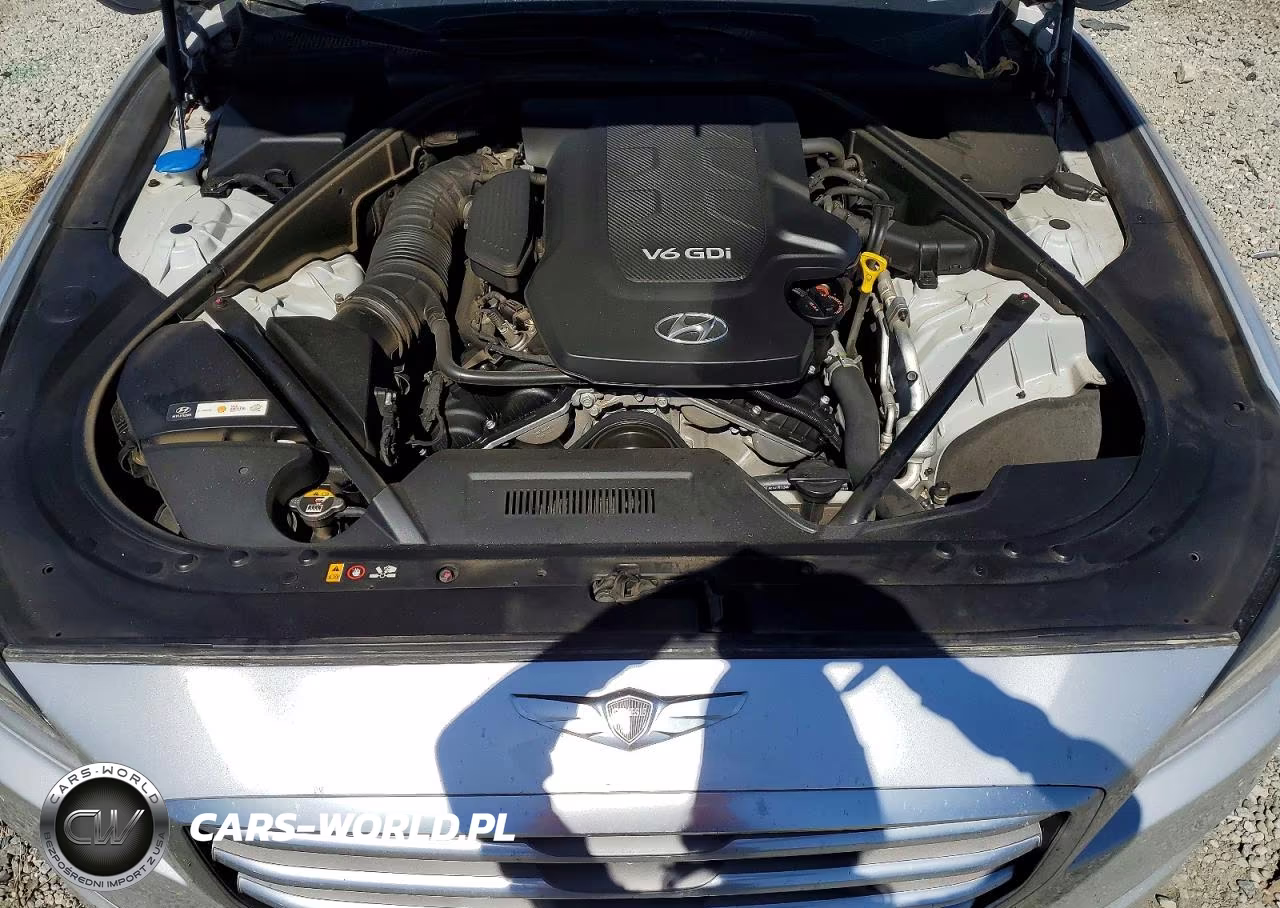 2015 Hyundai Genesis 3.8L VIN:KMHGN4JE7FU034175 - 11