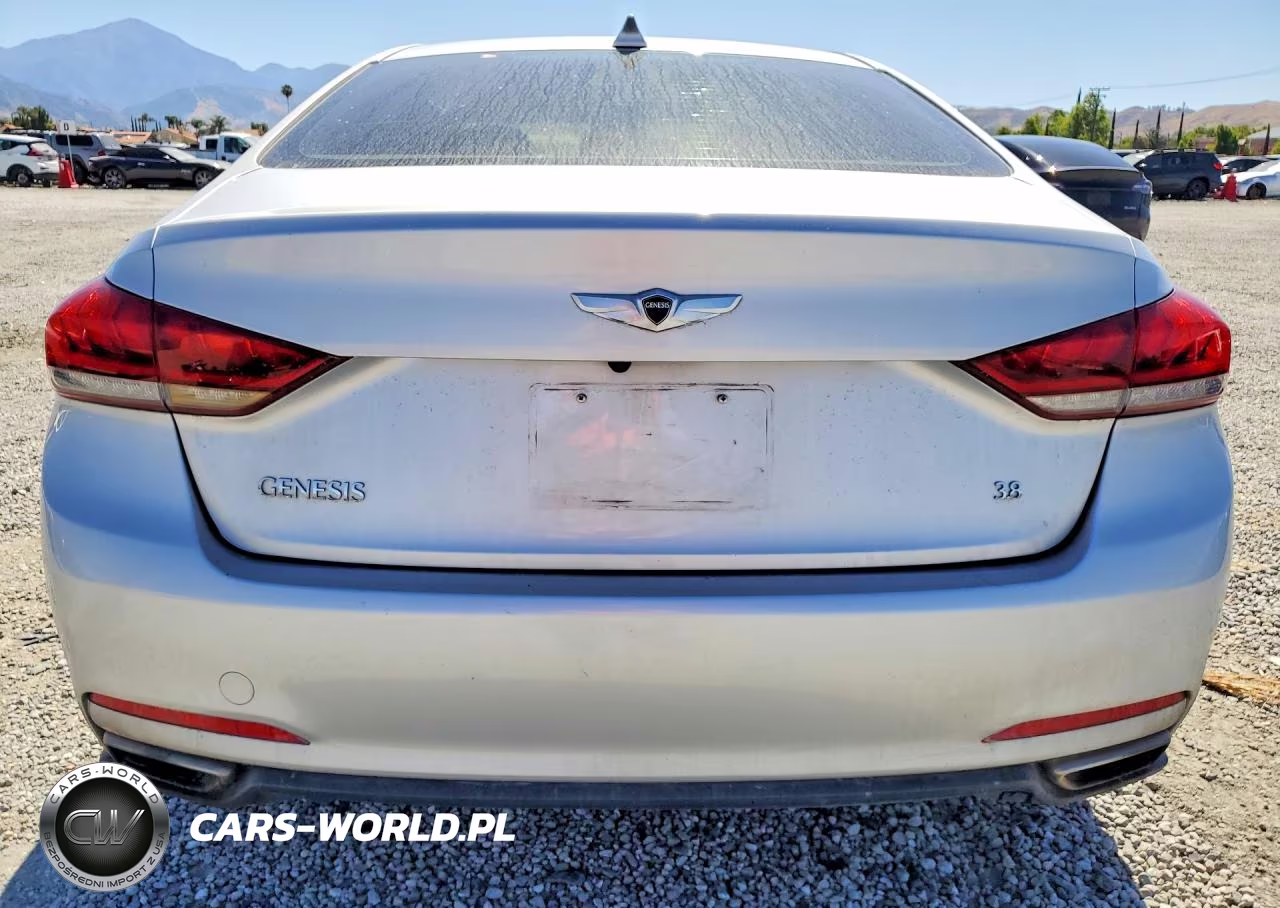 2015 Hyundai Genesis 3.8L VIN:KMHGN4JE7FU034175 - 6