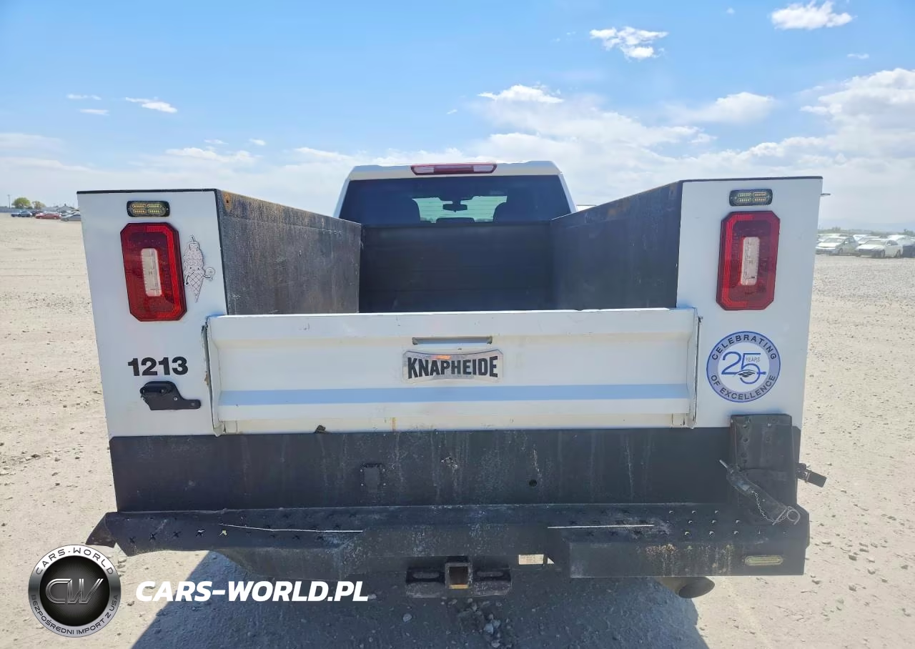 2023 Chevrolet Silverado K2500 Heavy Duty VIN:1GB4YLE74PF163795 - 6