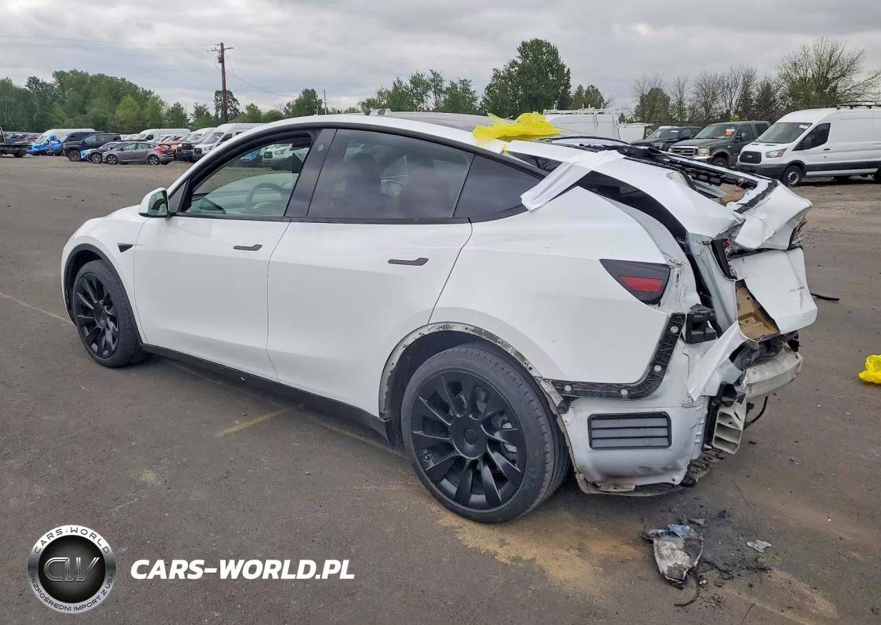 2021 Tesla Model Y VIN:5YJYGAEE0MF232081 - 2