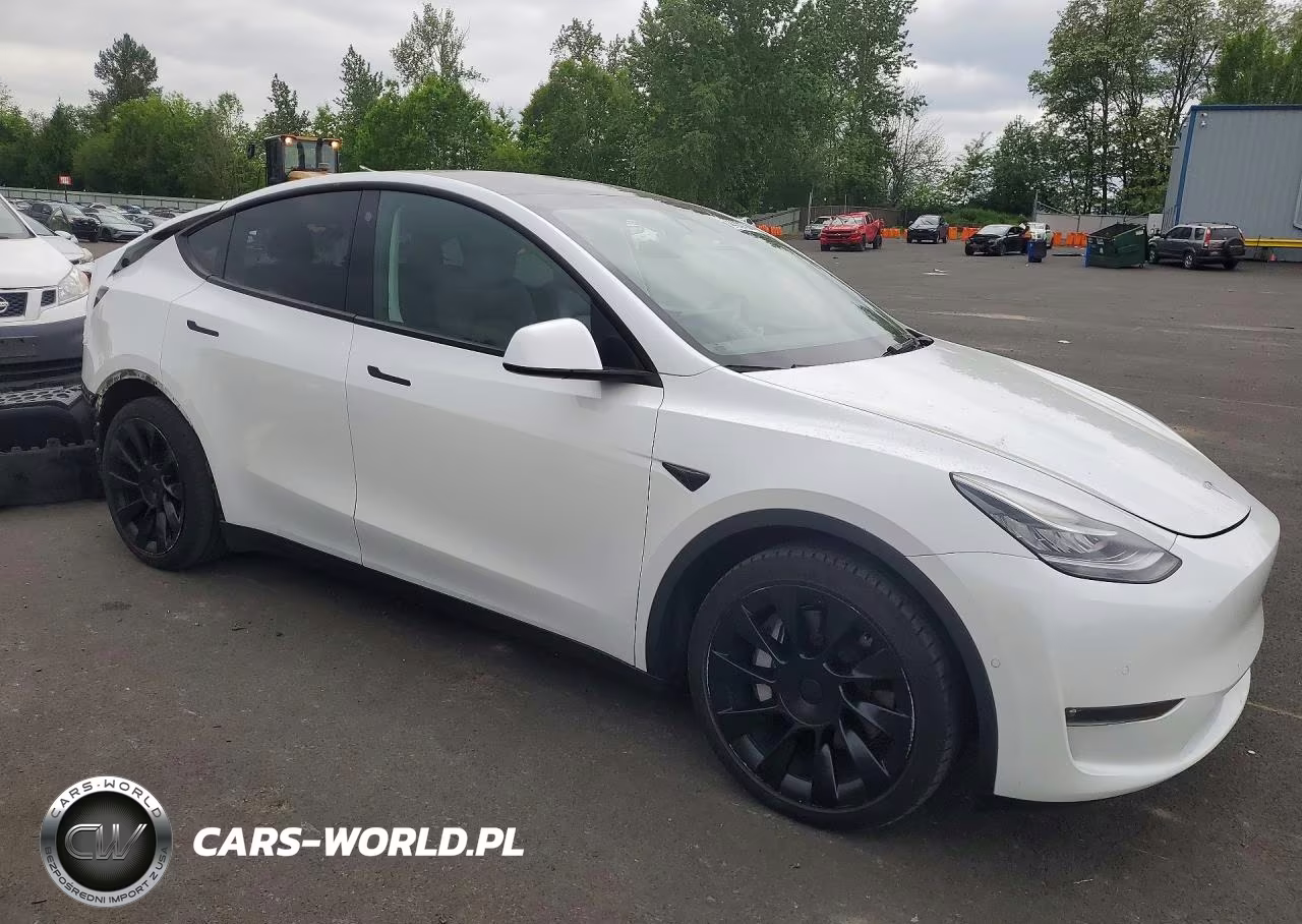 2021 Tesla Model Y VIN:5YJYGAEE0MF232081 - 4