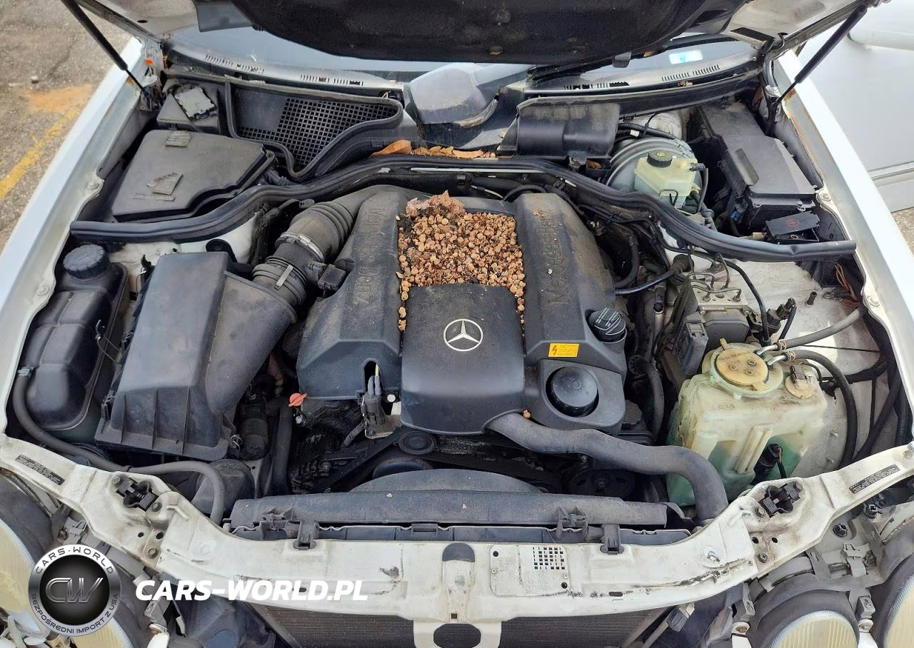 2001 Mercedes-Benz E 320 VIN:WDBJF65J21B286686 - 11