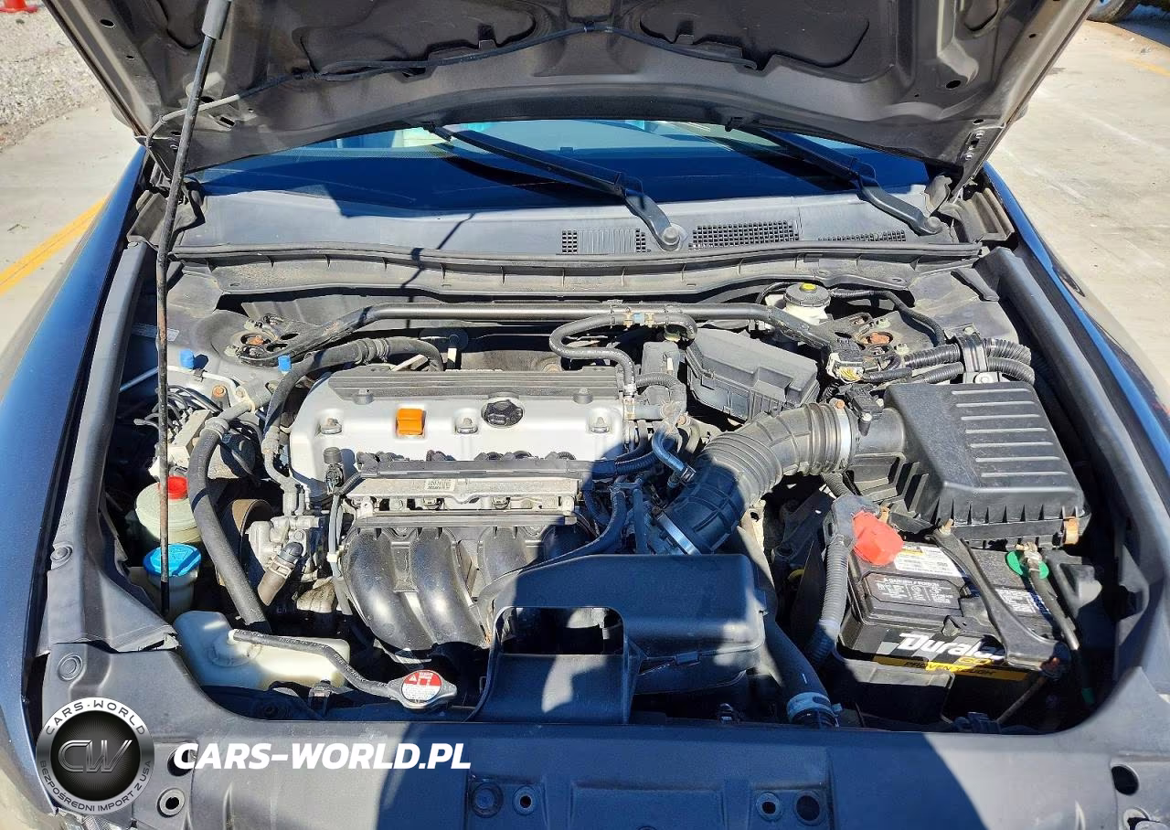 2010 Honda Accord VIN:1HGCP2F80AA117849 - 11