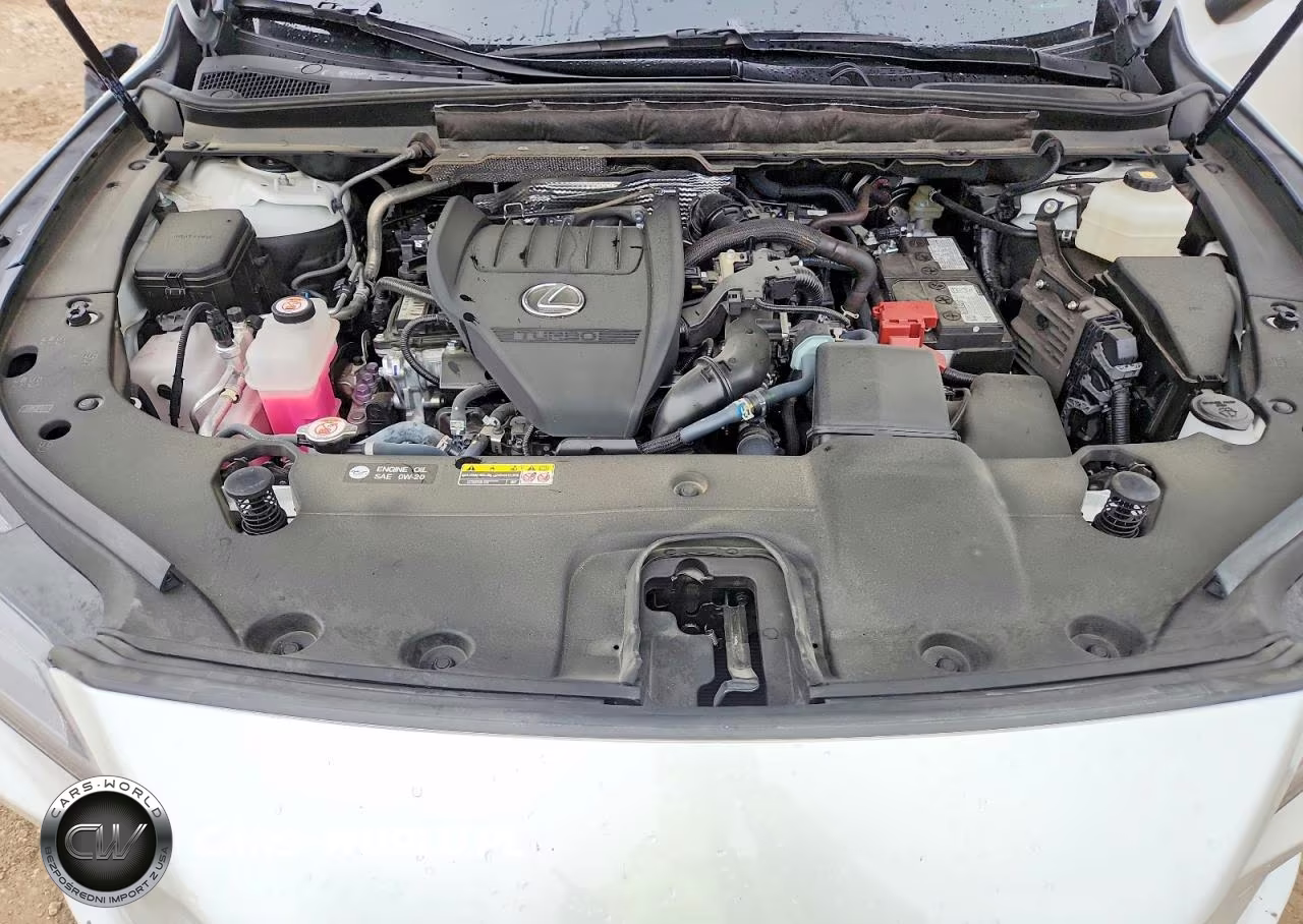 2023 Lexus Rx 350 Luxury VIN:2T2BAMBA9PC012422 - 12