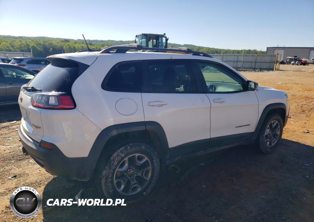 2019 Jeep Cherokee Trailhawk VIN:1C4PJMBX9KD362224 - 3