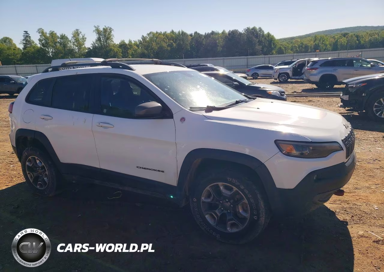 2019 Jeep Cherokee Trailhawk VIN:1C4PJMBX9KD362224 - 4