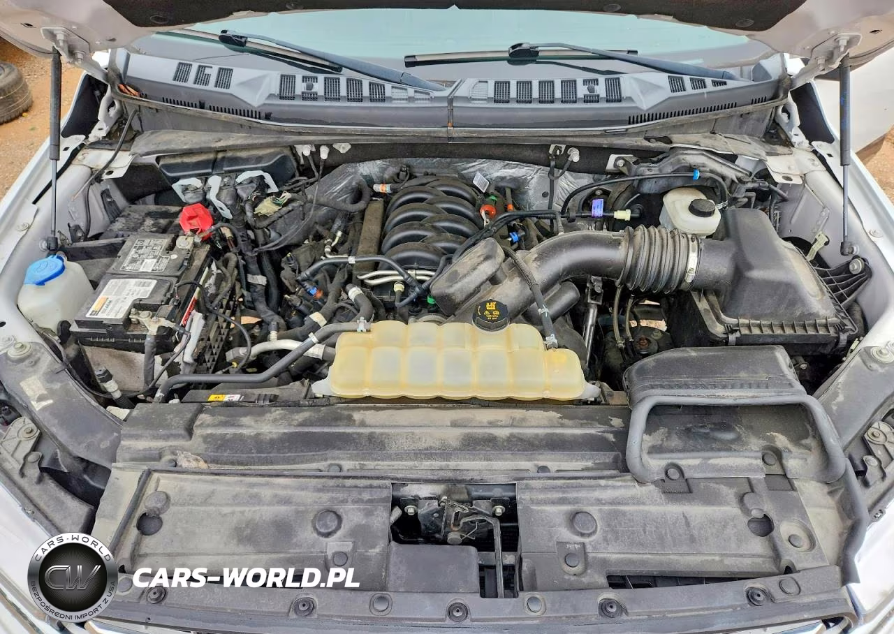 2019 Ford F150 Supercrew VIN:1FTEW1E54KFB61207 - 11