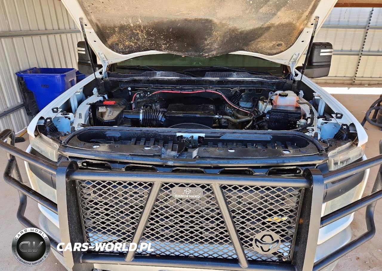 2020 Chevrolet Silverado K2500 Heavy Duty VIN:1GC1YLE73LF162047 - 11