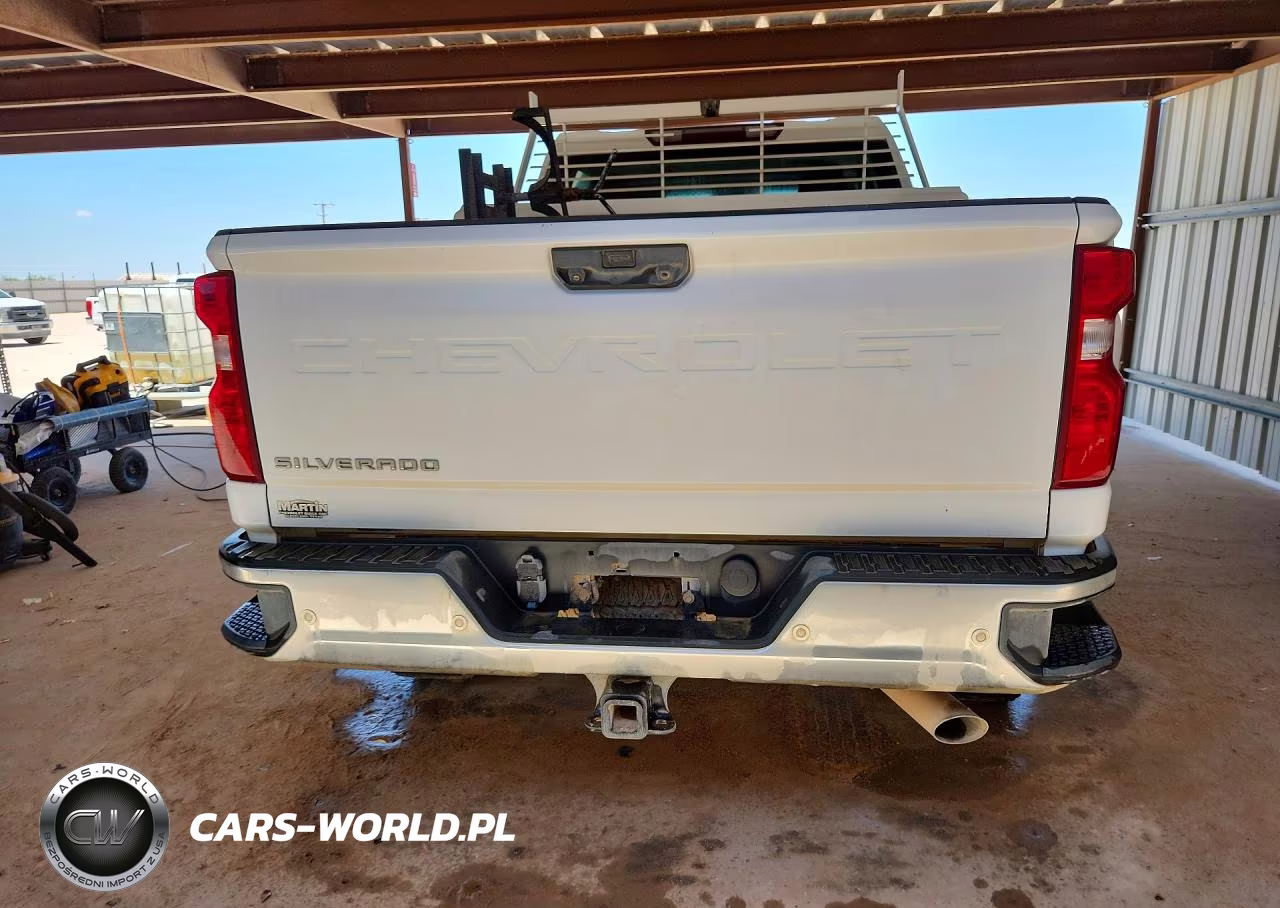2020 Chevrolet Silverado K2500 Heavy Duty VIN:1GC1YLE73LF162047 - 6