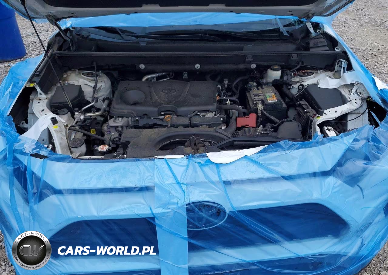 2020 Toyota Rav4 Xle VIN:2T3W1RFV1LW061243 - 12