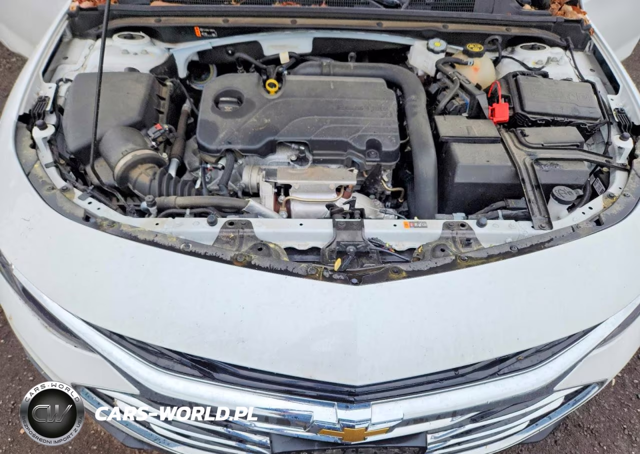 2023 Chevrolet Malibu Ls VIN:1G1ZC5ST3PF199645 - 11