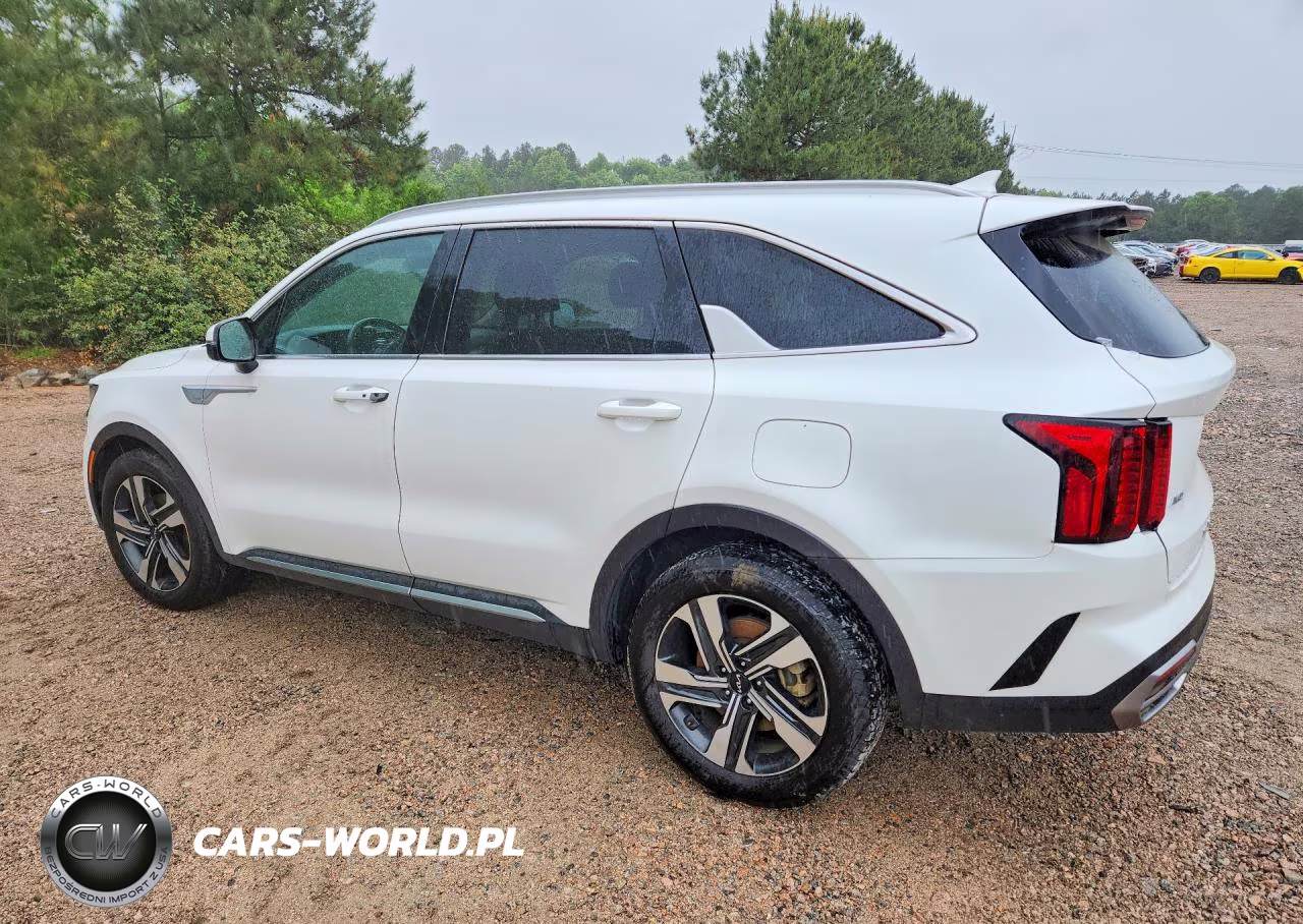 2022 Kia Sorento Ex VIN:KNDRHDLGXN5096178 - 2