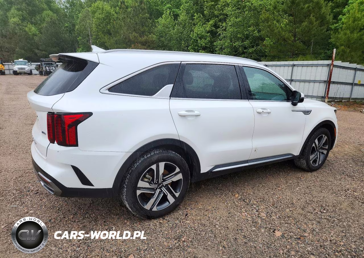 2022 Kia Sorento Ex VIN:KNDRHDLGXN5096178 - 3