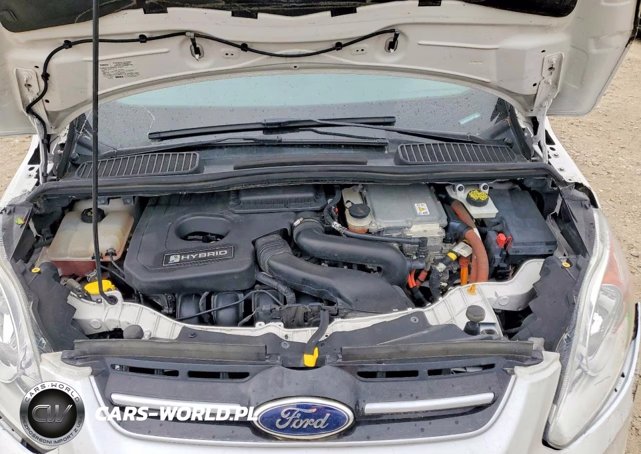 2015 Ford C-Max Sel VIN:1FADP5BU4FL115465 - 12