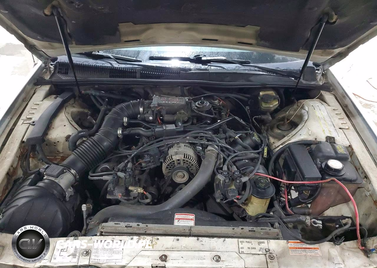 1997 Ford Thunderbird Lx VIN:1FALP624XVH142298 - 11