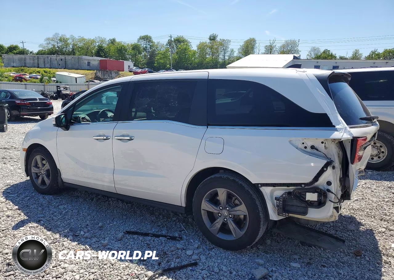 2024 Honda Odyssey Ex VIN:5FNRL6H5XRB009210 - 2