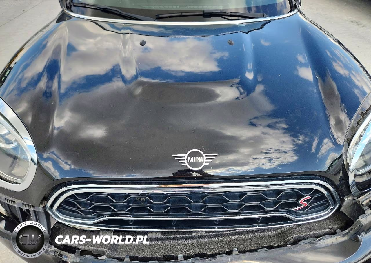 2020 Mini Cooper S Countryman VIN:WMZYW7C00L3L64895 - 11