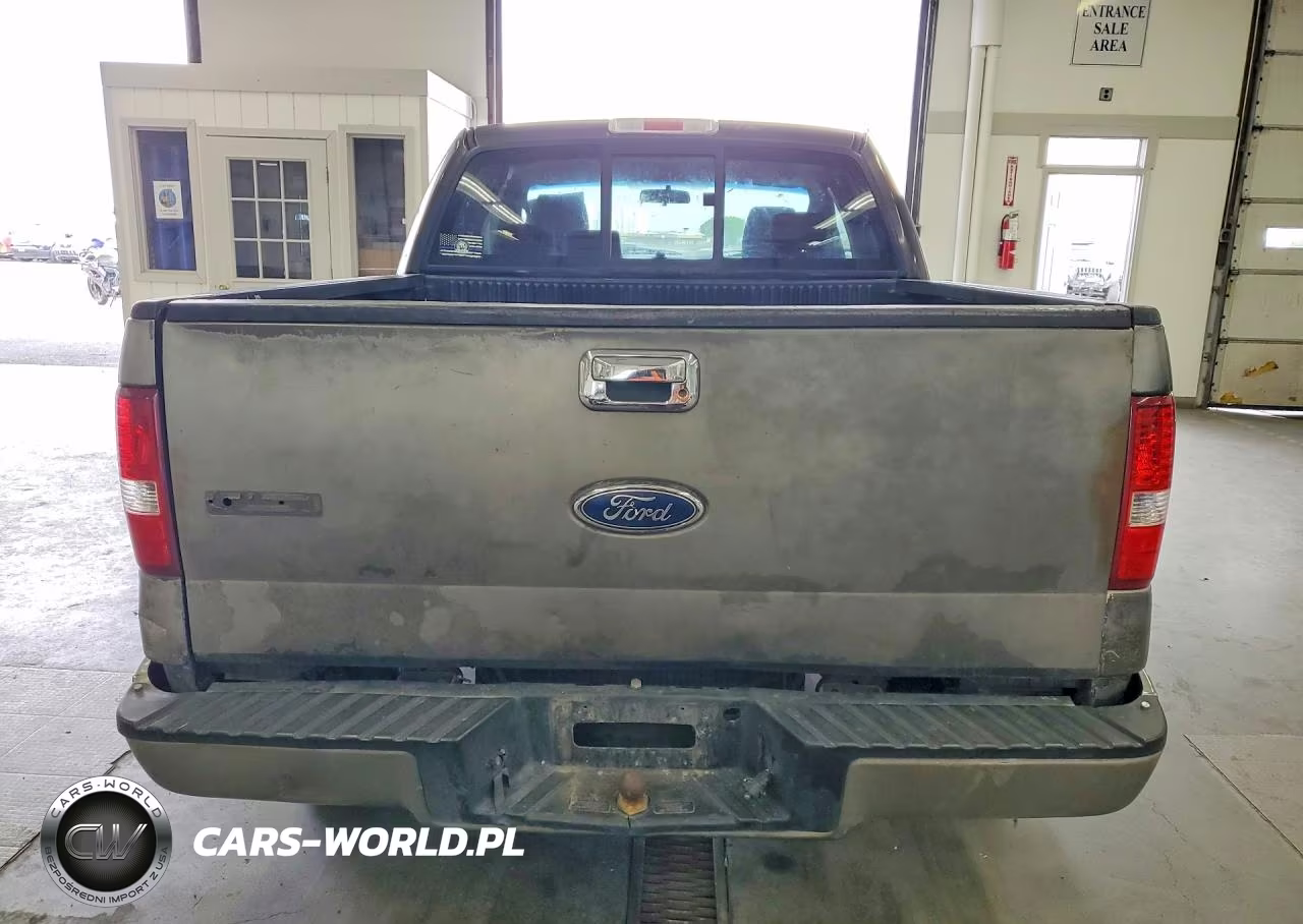 2005 Ford F150 VIN:1FTRX12W35KD81946 - 6