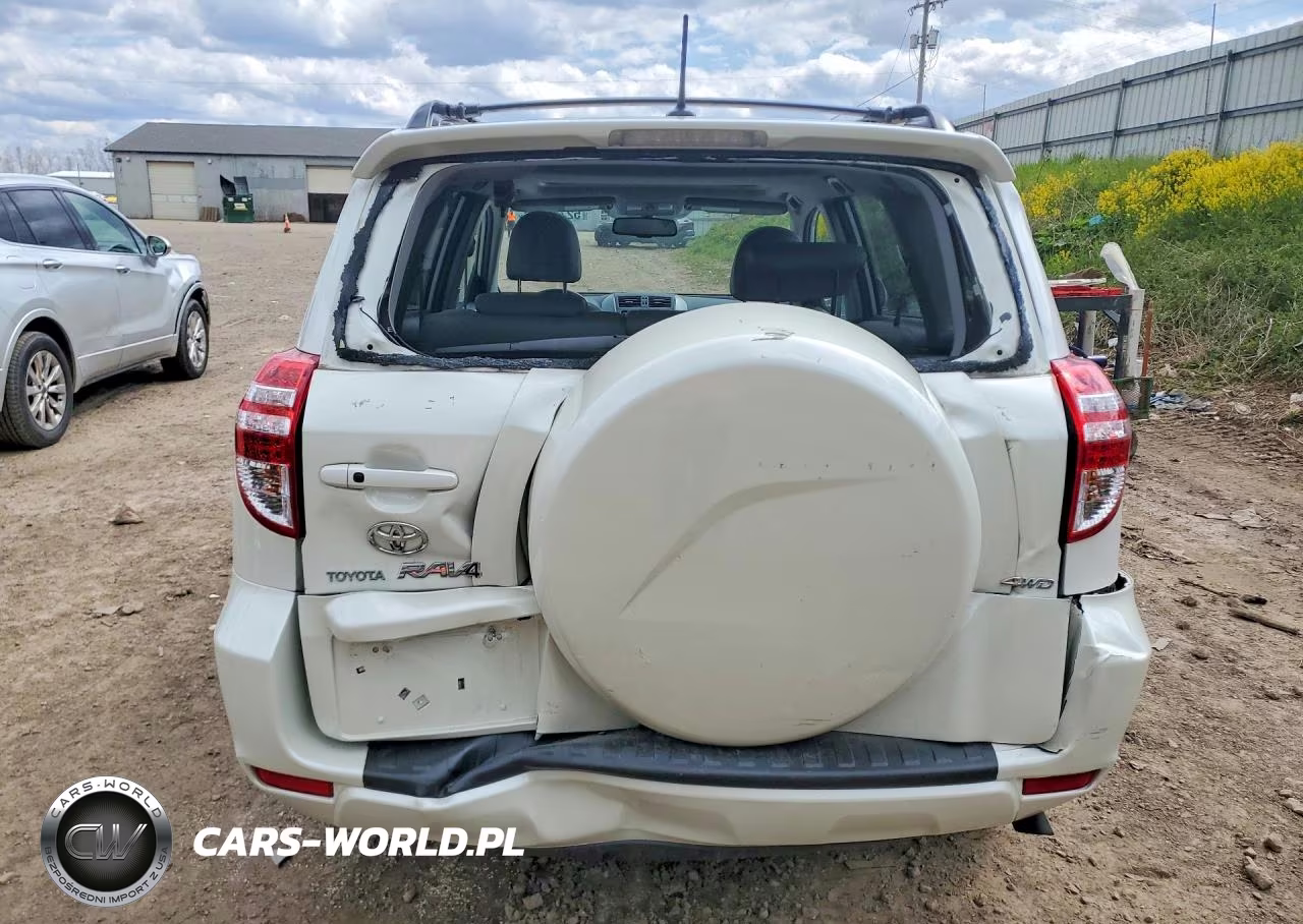 2010 Toyota Rav4 Limited VIN:2T3DK4DV9AW031687 - 6