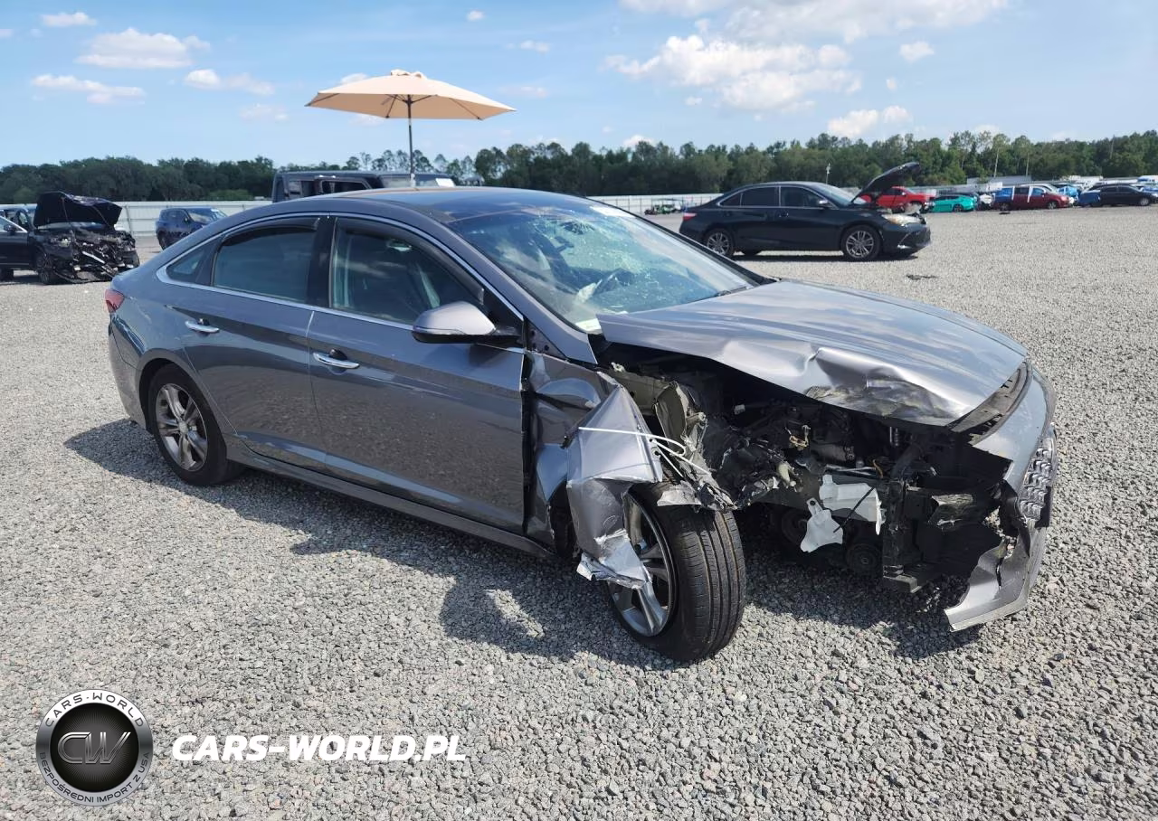 2019 Hyundai Sonata Limited VIN:5NPE34AF4KH747372 - 4
