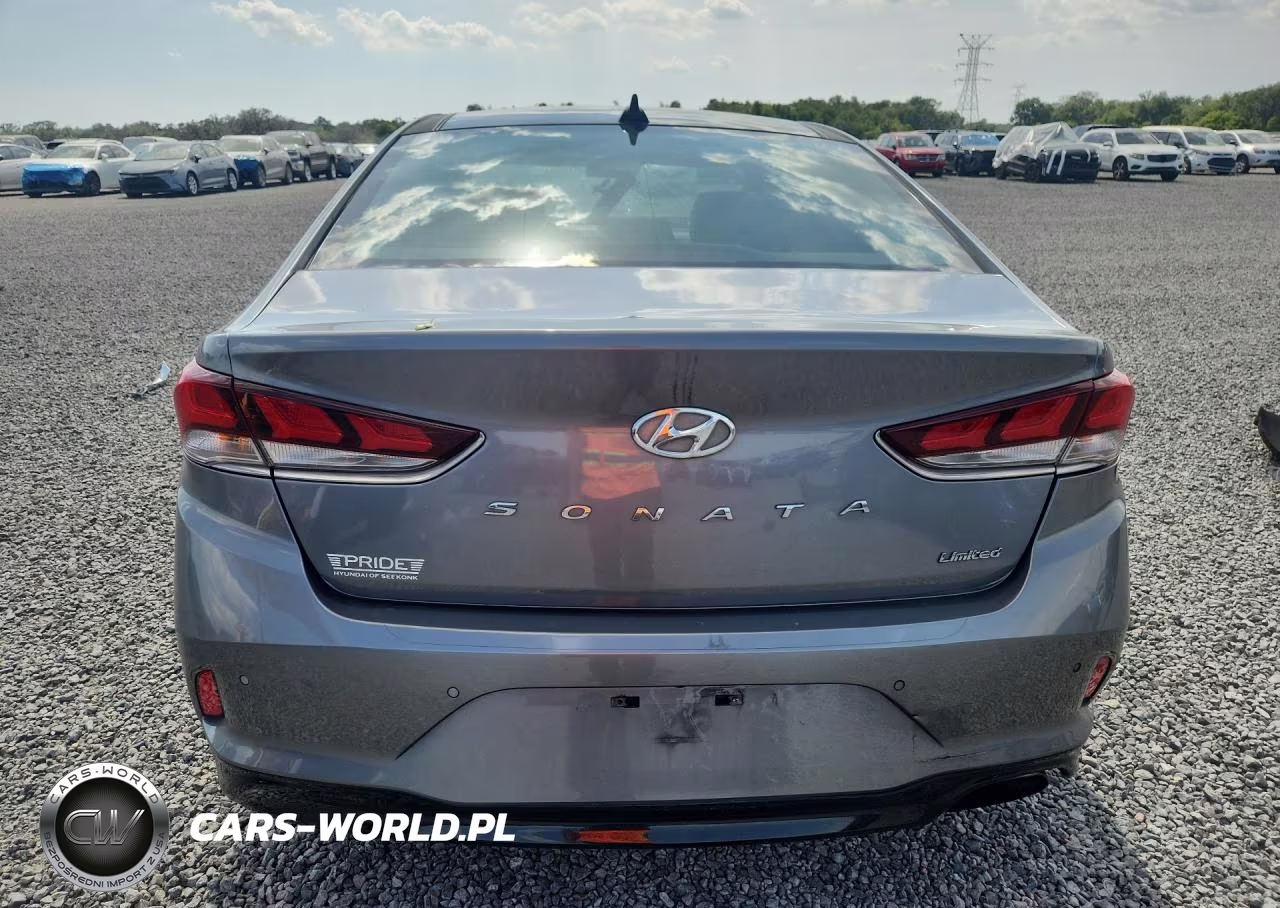2019 Hyundai Sonata Limited VIN:5NPE34AF4KH747372 - 6