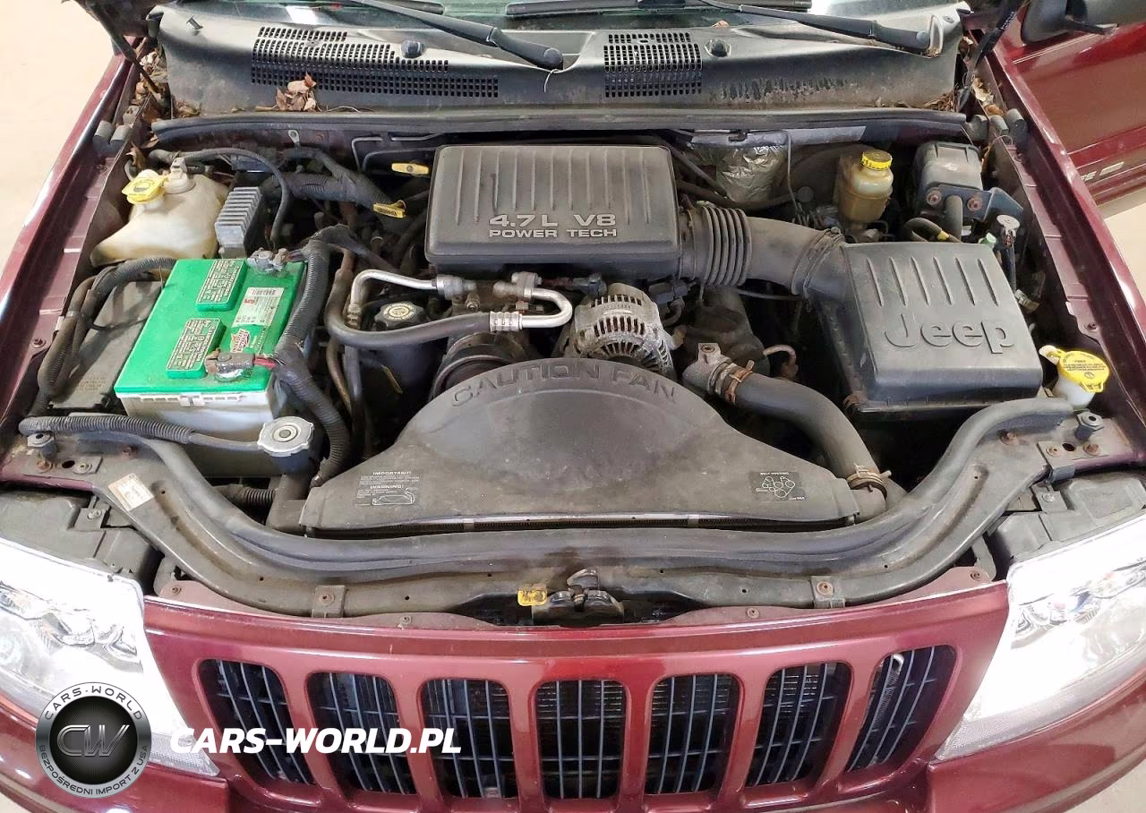 1999 Jeep Grand Cherokee Limited VIN:1J4GW68N1XC658381 - 12