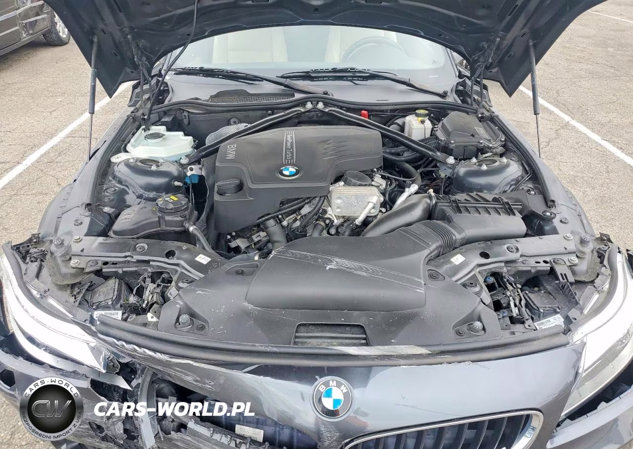 2016 BMW Z4 Sdrive28I VIN:WBALL5C56G5A20405 - 11