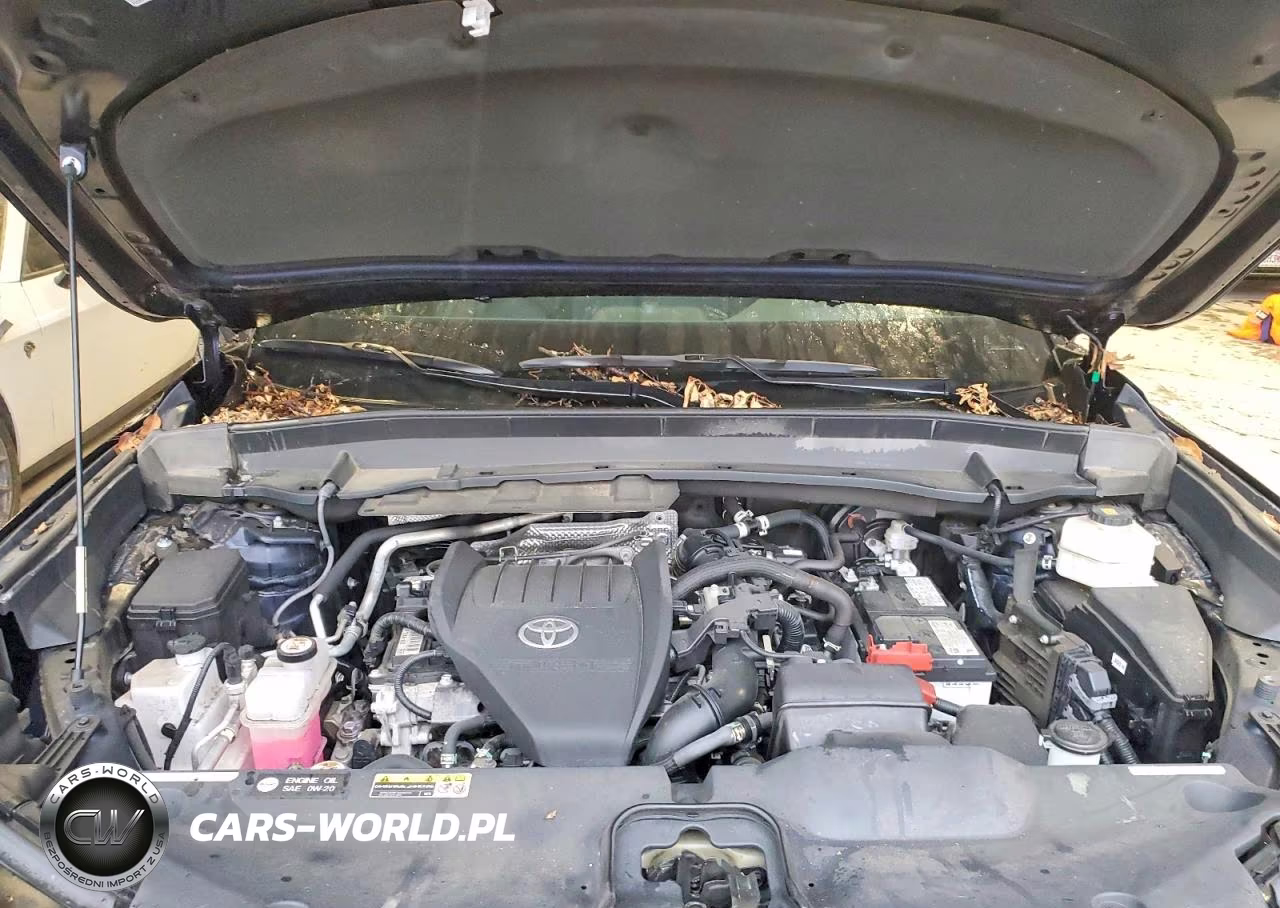 2024 Toyota Grand Highlander Platinum VIN:5TDAAAB52RS011401 - 12