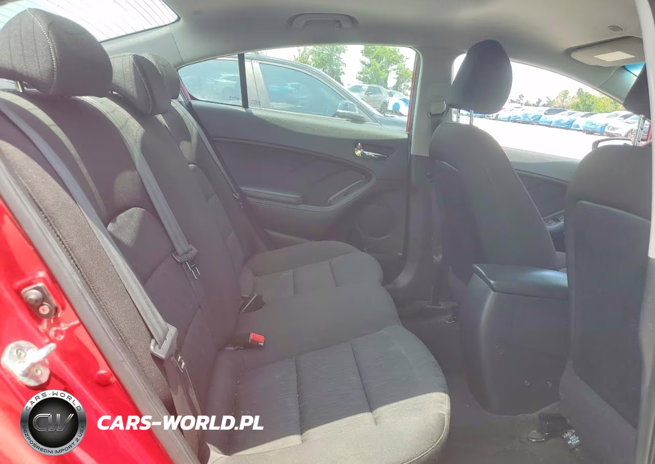 2016 Kia Forte Lx VIN:KNAFK4A61G5564362 - 10