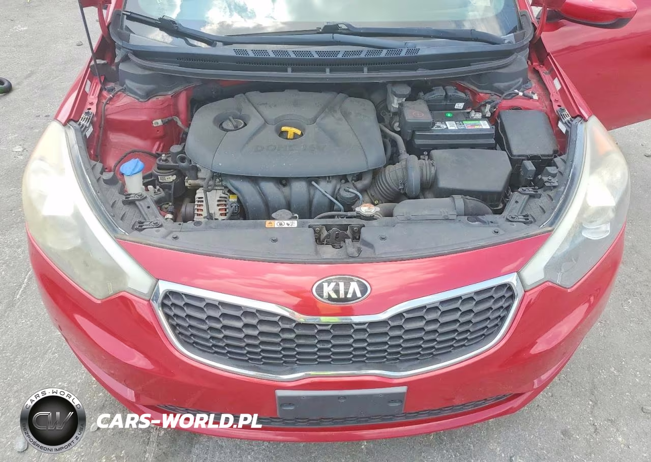 2016 Kia Forte Lx VIN:KNAFK4A61G5564362 - 11