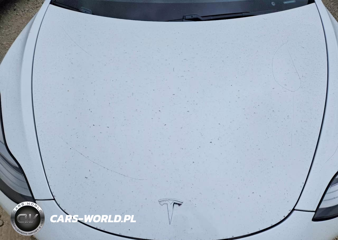 2020 Tesla Model 3 VIN:5YJ3E1EA4LF590957 - 12