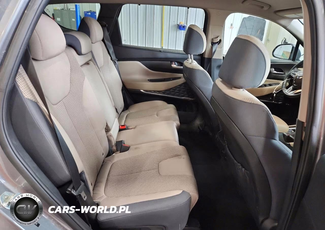 2020 Hyundai Santa Fe Sel VIN:5NMS3CAD5LH173505 - 10