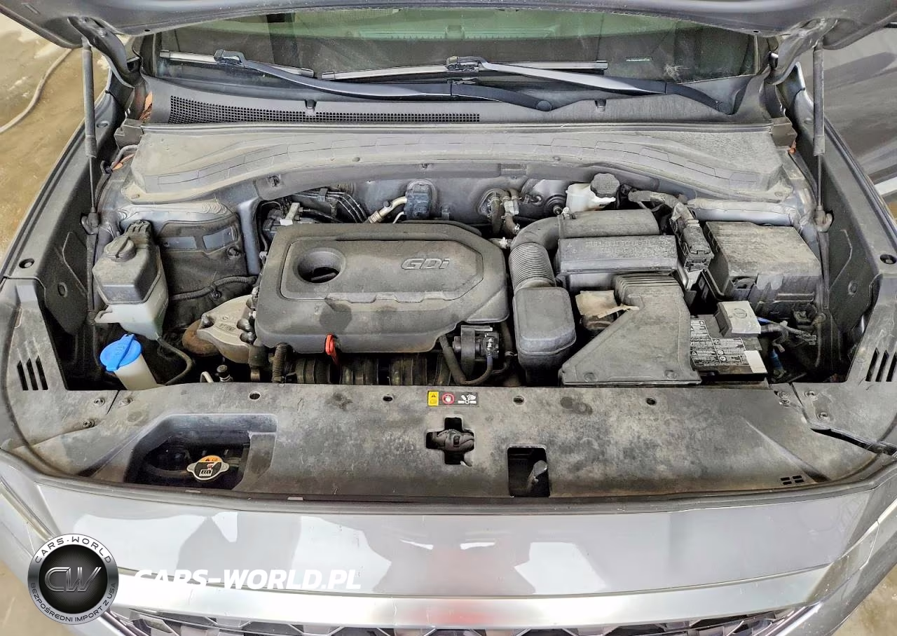 2020 Hyundai Santa Fe Sel VIN:5NMS3CAD5LH173505 - 11