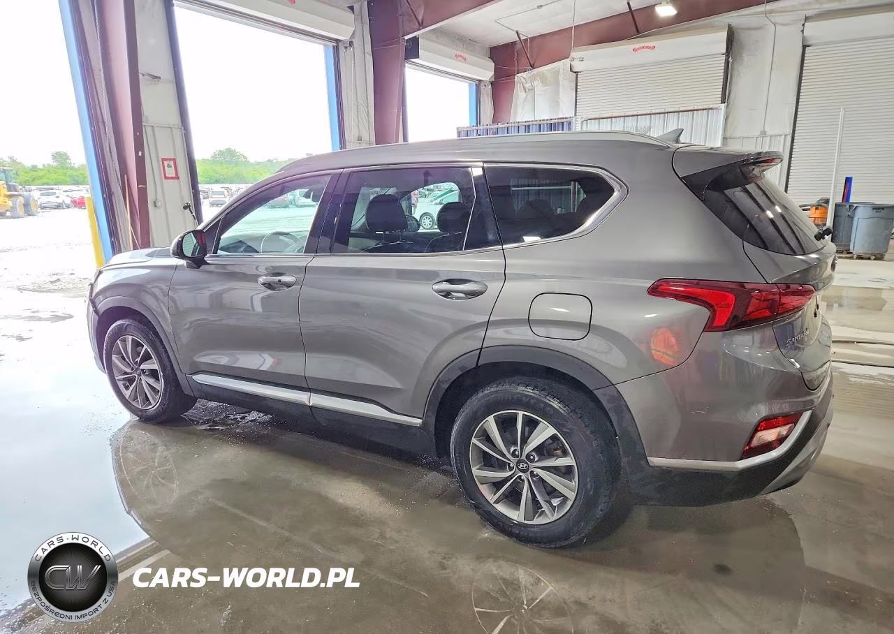 2020 Hyundai Santa Fe Sel VIN:5NMS3CAD5LH173505 - 2