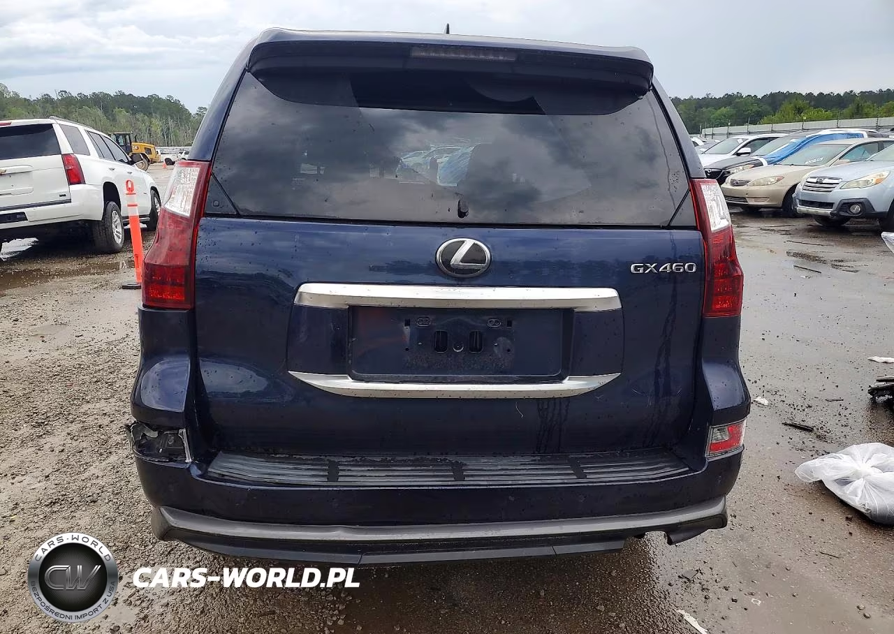 2020 Lexus Gx 460 Premium VIN:JTJAM7BX1L5243249 - 6